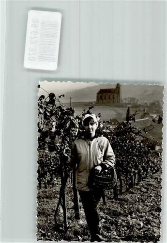 Waldböckelheim Weingut Dümmler Weinlese Foto Original aus Archiv eines Ansichtskartenverlags