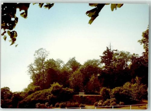 Bad Laasphe Institut Schloss Wittgenstein Foto Original aus Archiv eines Ansichtskartenverlags