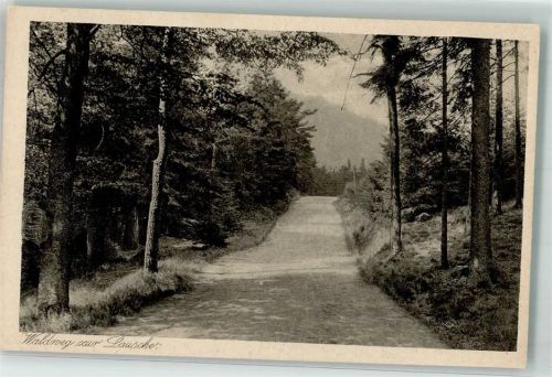 Lausche Waldweg Fotograf Bertha Zillessen Deutsche Heimatbilder