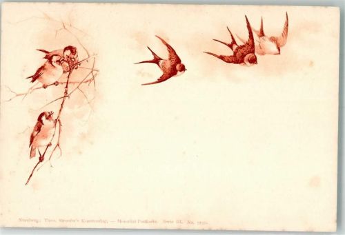 Monotint-Postkarte Schwalben Serie III. No. 5230 T.S.N.