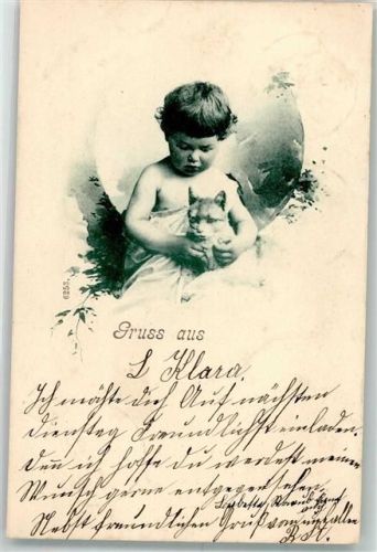 1905 Katze