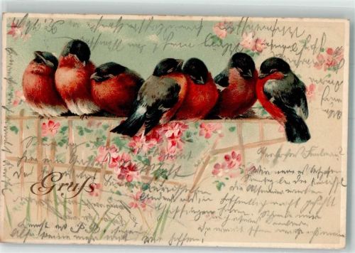 1900 Sieben Vögel kuscheln sich auf einem Zaun zusammen