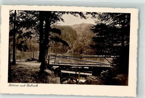 Feldberg Feldsee Seebuck