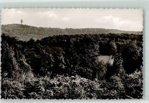 Bielefeld Waldstück