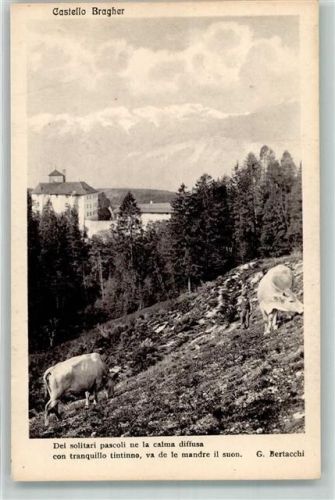 38010 Taio Thayl Foto AK Schloss Bragher