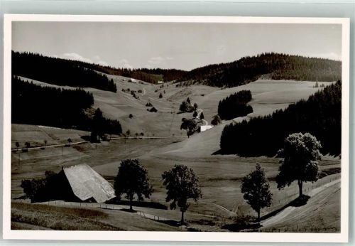Furtwangen Hochtal