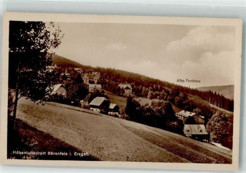 Bärenfels mt Gasthaus Altes Forsthaus Verlag A. & R. Adam Nr. 5222