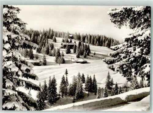 Feldberg Winter Gasthaus Pension zum Auerhahn