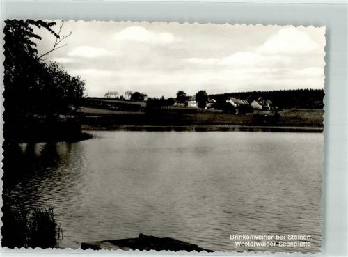 Steinen Birkenweiher Westerwälder Seenplatte