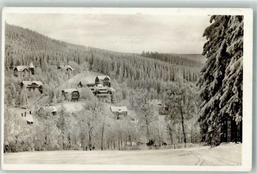 Bärenfels Winter