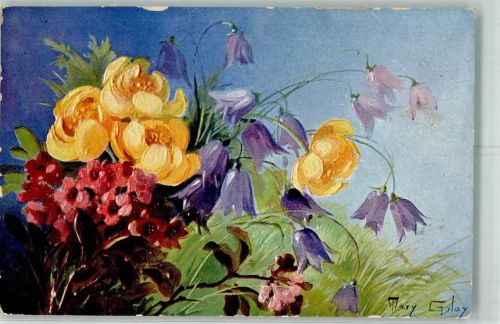 1909 Ein bunter Feldblumenstrauß T.S.N. Serie 318 No. 1