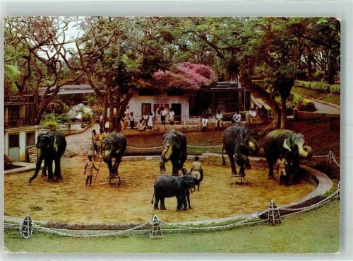 Colombo 1976 Elefanten Tracht Zoologischer Gartn