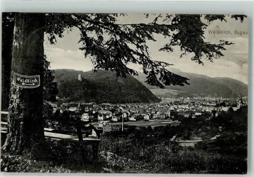 79183 W7808 Waldkirch , Breisgau 1916 Foto AK Bahnpost Denzingen- Zug 1516