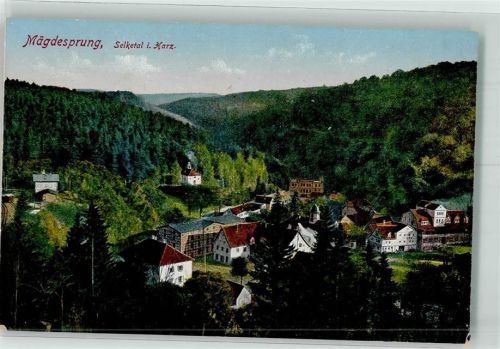 Mägdesprung 1917 Harz