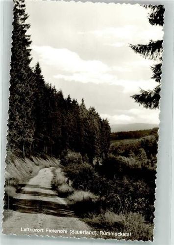 Freienohl Rümmecketal
