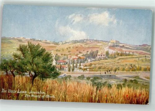 Jerusalem Tuck´s Oilette Wide Wide World Das heilige Land Serie VI Nr. 7786 Ölberg