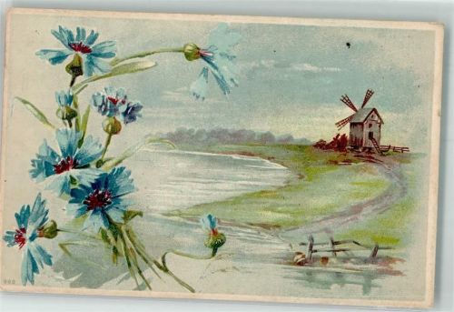1909 Kornblume