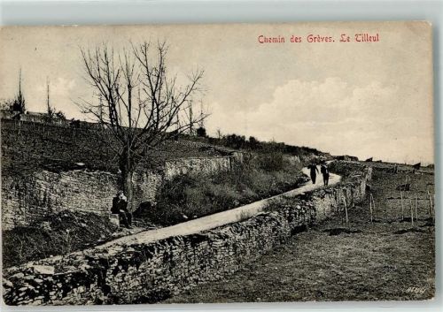 Le Tilleul Chemin des Grèves