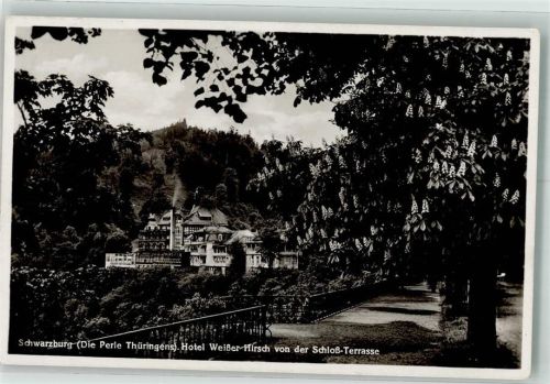 Schwarzburg 1923 Gasthaus zum Weissen Hirsch Schlossterrasse