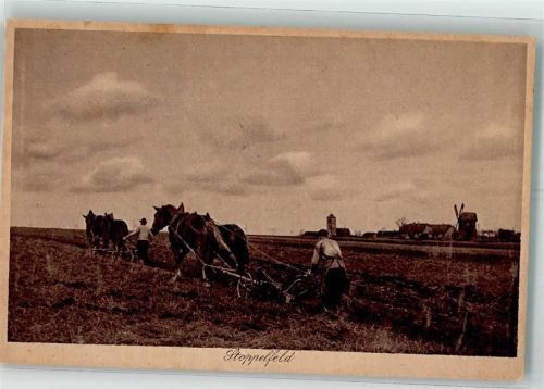 Pferdepflug Stoppelfeld Windmühle Verlag Jobst Serie 24 Nr.262