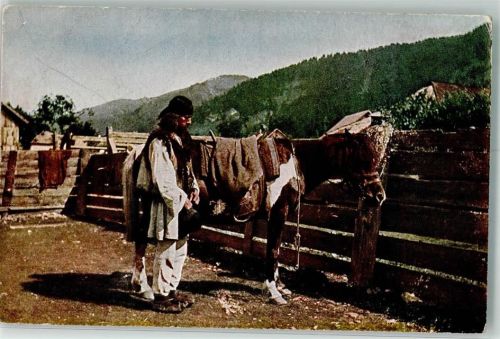 Hudzule Ponyrasse
