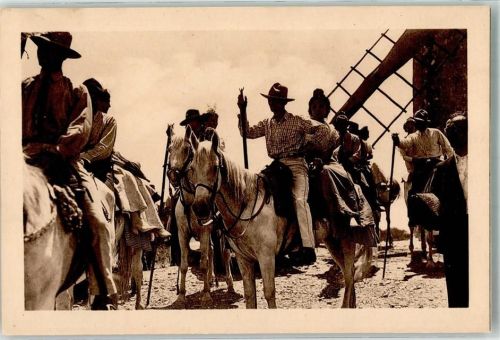 Arles Tracht Pferde