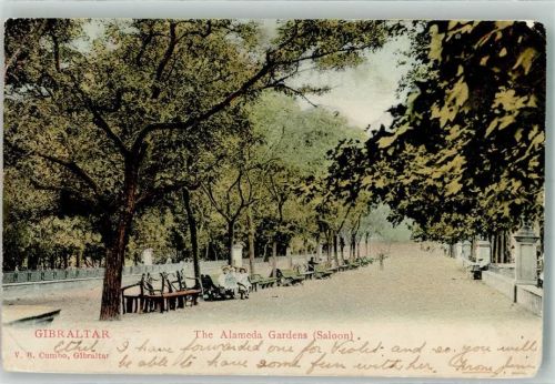 Gibraltar 1906 The Alameda Gardens