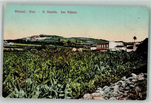 Las Palmas de Gran Canaria Plantage