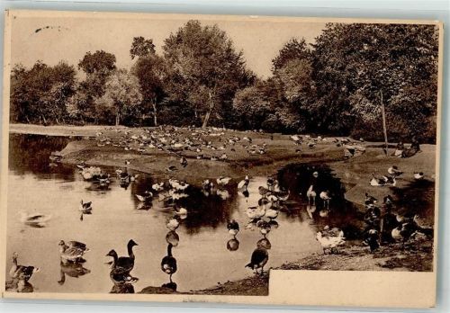Strasbourg Enten Gänse Park Ort lt. Verlag