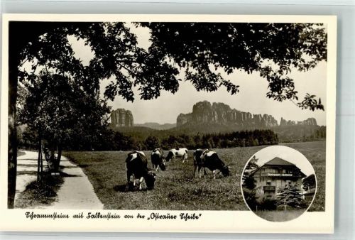 Bad Schandau Hotel Pension Ostrauer Scheibe Schrammsteine