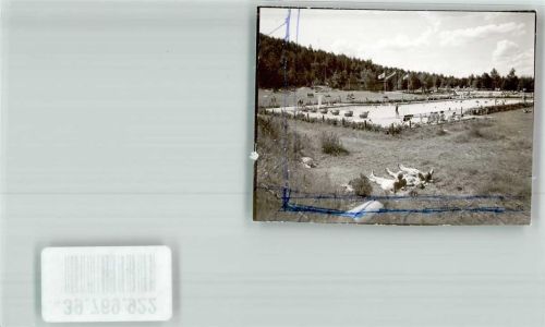 Burg Schwimmbad Ort handschrifltich Foto Original aus Archiv eines Ansichtskartenverlags
