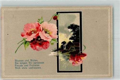1911 Passepartout Vers Blüten Wassermühle