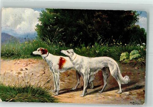 1907 Windhunde TSN Nr.670