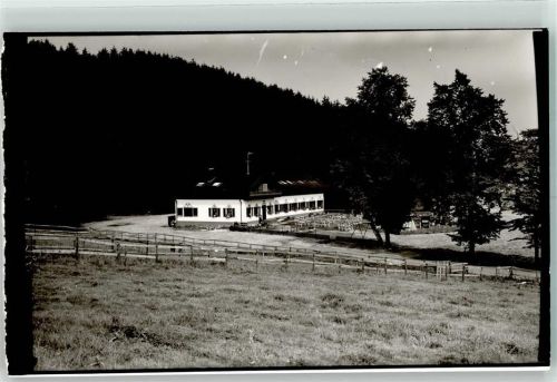 Netphen Gasthaus Forellenhof Ort handschriftlich Foto Original aus Archiv eines Ansichtskartenverlags
