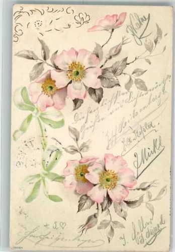 1902 Blüten