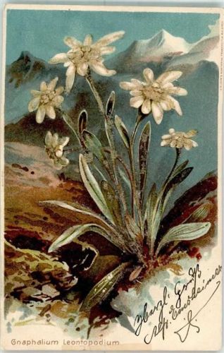 1900 mit Glimmer/Glitzerauflage