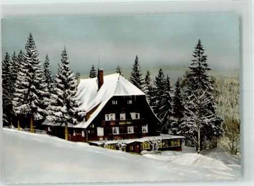 Bärental Gasthaus zum Adler Winter