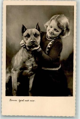 Pittbull Kind Komm Spiel mit mir