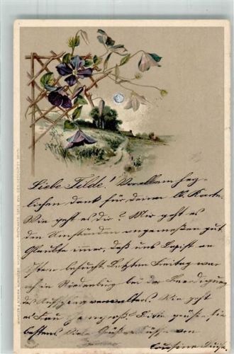 1901 Mondschein Karte Serie XVII Blumen