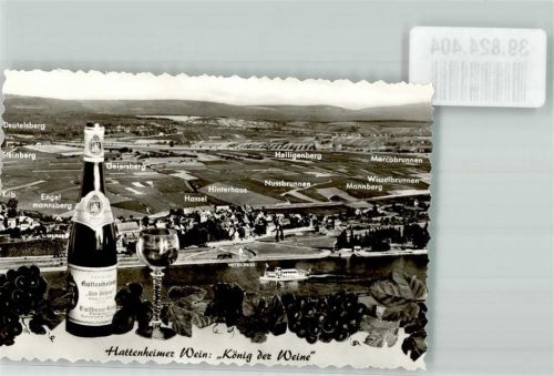 65343 W6228 Hattenheim , Rheingau FOTO KEINE AK Wein Ort handschriftlich Foto Original aus Archiv eines Ansichtskartenverlags