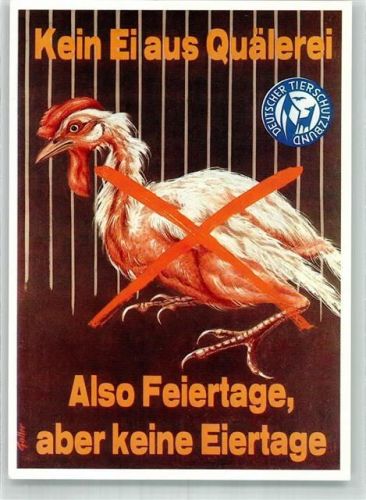 Huhn Kein Ei aus Quälerei