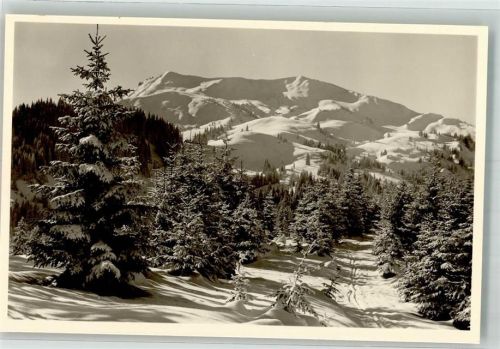 Balderschwang Höllritzer Eck mit Bleicherhorn und Höllritzer Alm
