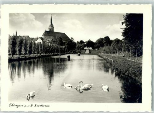 Ehingen Knockensee Schwäne