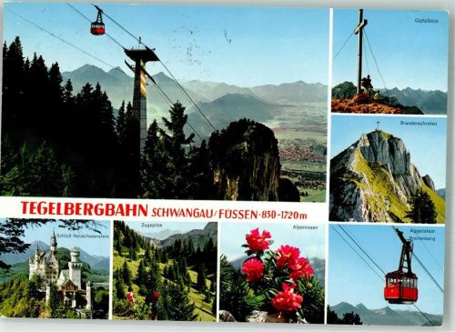 Schwangau Tegelbergbahn Gipfelkreuz Alpenrosen Schloss Neuschwanstein Hüttenstempel