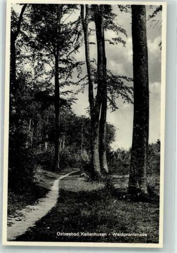 Kellenhusen Waldpromenade
