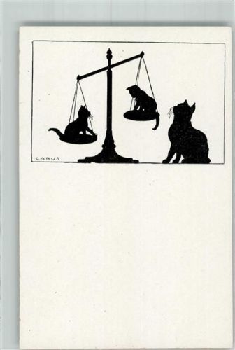 Kreuzberg Schattenkarte Katzen Waage Tierschutz-Verein E.I. Nr. 21