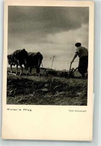 Foto Kolowrarth Hinter`m Pflug Heitz u. Co.