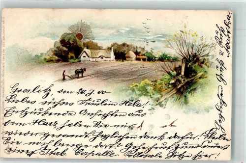1900 Sonnenschein Karte Serie XIII Bauern beim Pflügen