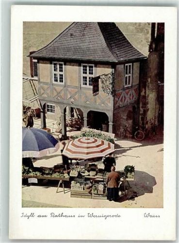 Wernigerode Idyll am Rathaus Marktszene Fahrrad
