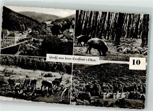 Mudau Gruß aus dem Ernsttal Odenwald Foto AK